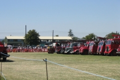 nat-rally-gdn-party-070